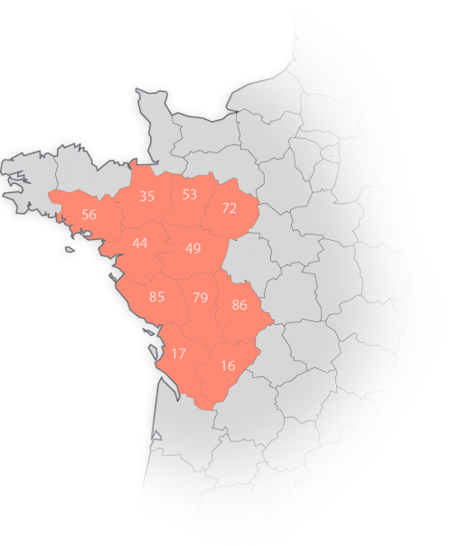 carte carte
